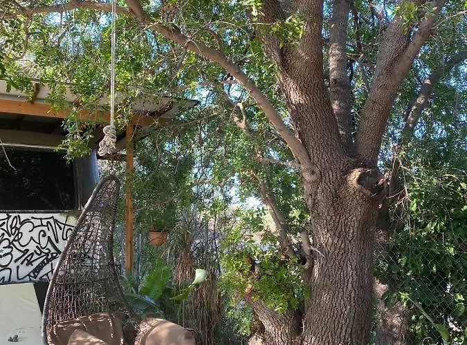 Magic Bus Κάμπινγκ