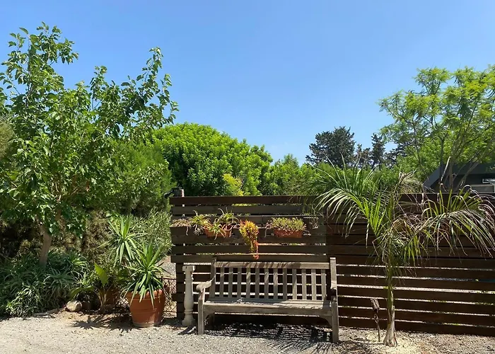 Magic Bus Χλώρακα