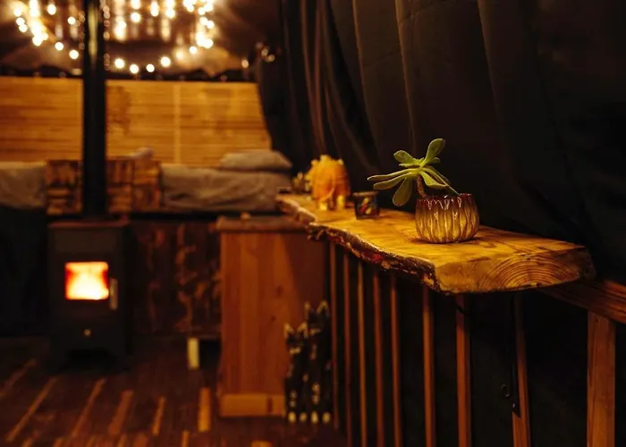 Magic Bus Χλώρακα