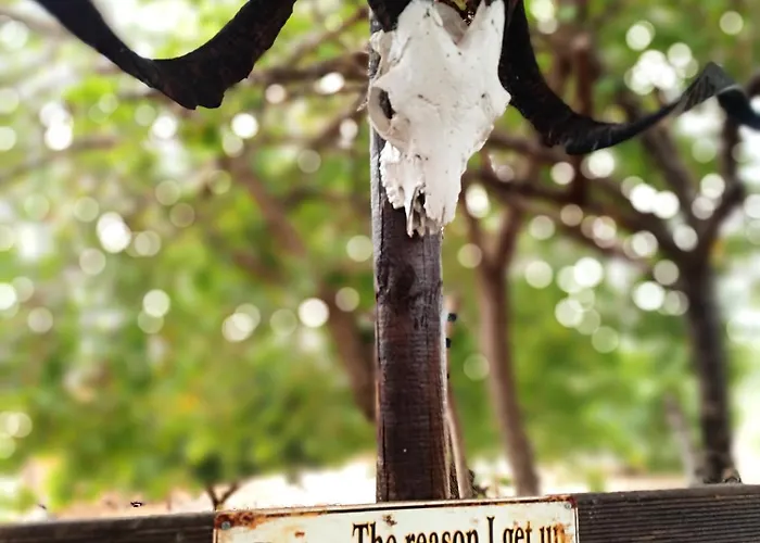 Κάμπινγκ Magic Bus Χλώρακα