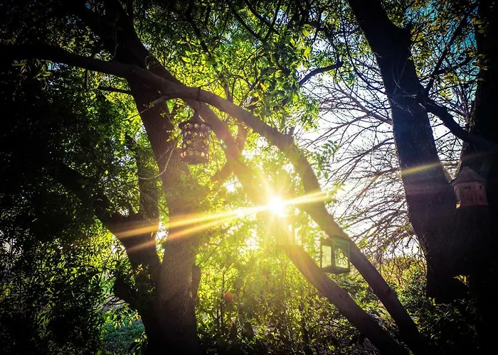 Magic Bus Κάμπινγκ