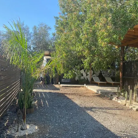 Magic Bus * Hlóraka