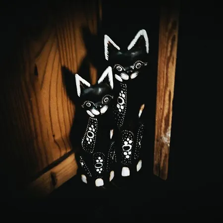 Magic Bus Κάμπινγκ Χλώρακα