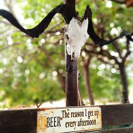 Κάμπινγκ Magic Bus Χλώρακα