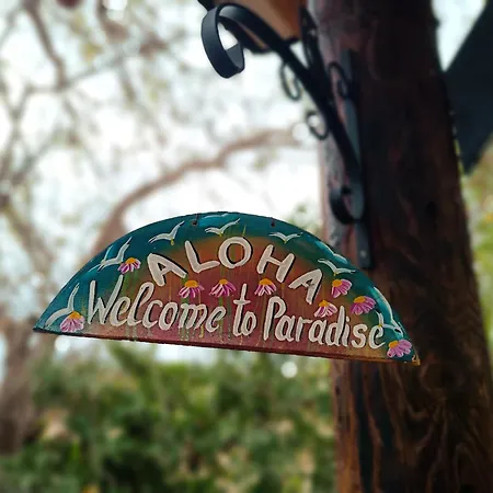 Magic Bus Χλώρακα