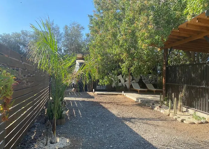 Magic Bus * Klorakas