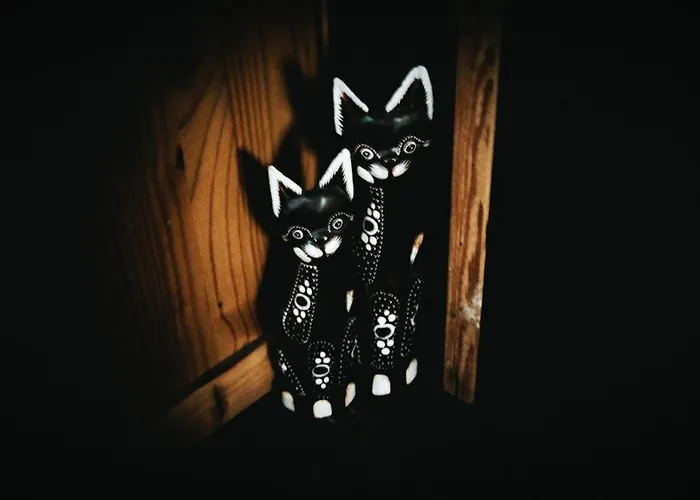 Magic Bus Campingplads Klorakas