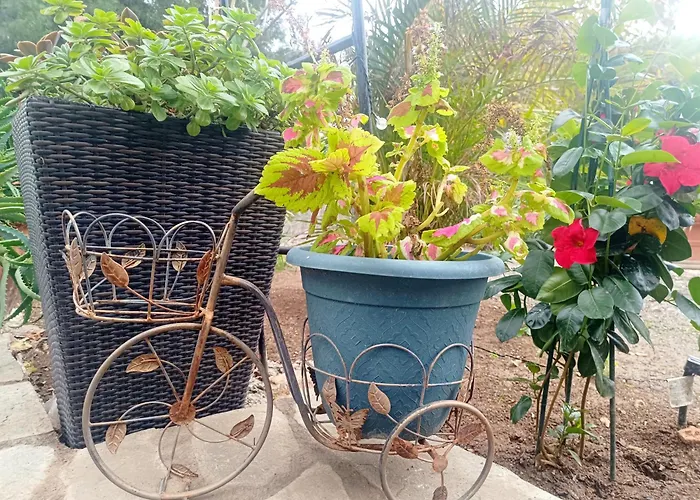 Campingplads Magic Bus Klorakas